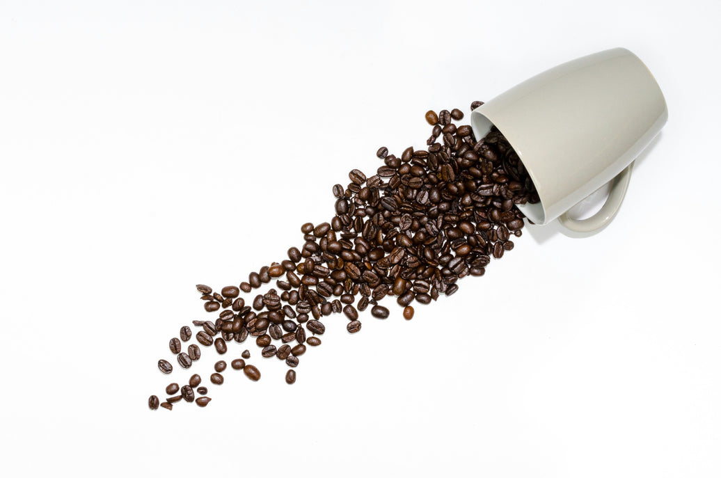 Cold Brew vs Iced Coffee: What's the Difference?