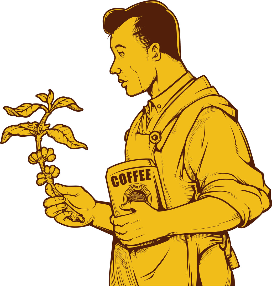 Coffee and Energy: Why Does Coffee Make You Feel More Awake?