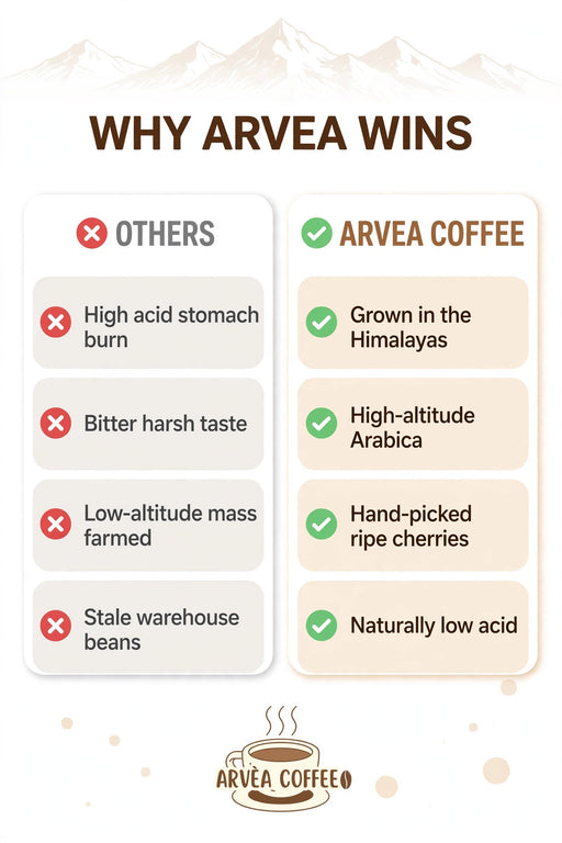 Robusta Coffee